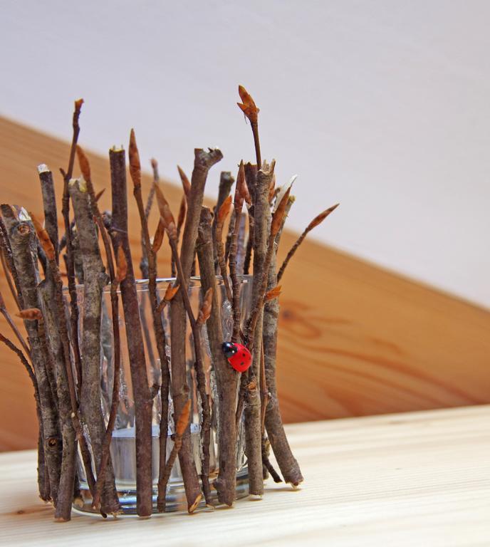 Le Castagne Matte * Stenico